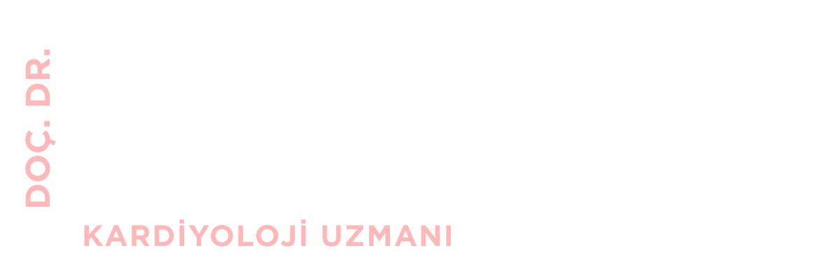 Doç. Dr. Sabri Seyis